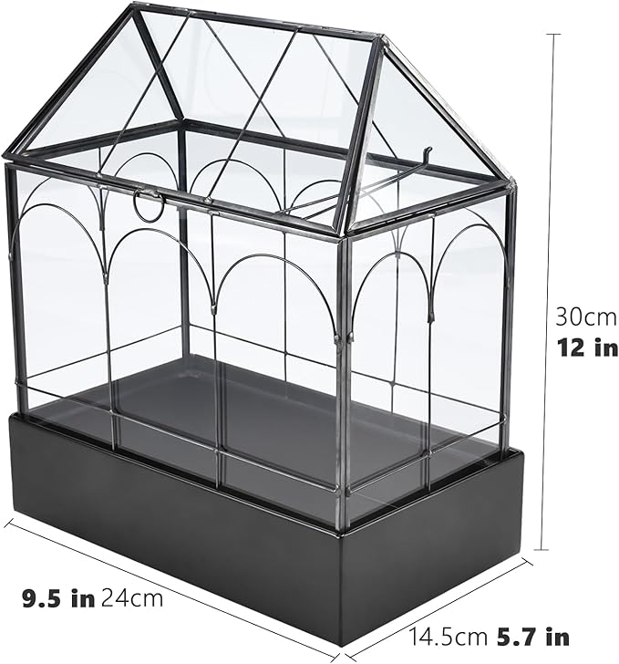 HighFree Large Glass Terrarium with Metal Tray, Glass Greenhouse Terrarium, Succulent Terrarium Kit for Succulents, Cacti, Snails, Spiders, and Miniature Reptiles, Black (Velvet Bottom)