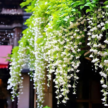 Weeping Jasmine Seeds (300 PCS) – Fragrant Cascading White Flowers, Climbing & Trailing Ornamental Vine, Non-GMO Flower Seeds for Garden, Balcony & Pergola Planting