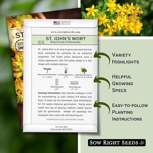 Sow Right Seeds - St John’s Wort Seeds for Planting - Non-GMO Heirloom Packet with Instructions to Plant & Grow an Outdoor or Indoor Herb Garden - Native Wildflower with Medicinal & Culinary Uses (3)