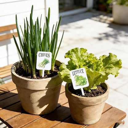 AnyDesign 20Pcs Acrylic Vegetable Plant Label Signs Garden Markers 20 Styles Vintage Vegetable Fruit Waterproof Potted Plant Stake Tags with Names for Nursery Indoor Outdoor Garden Decor