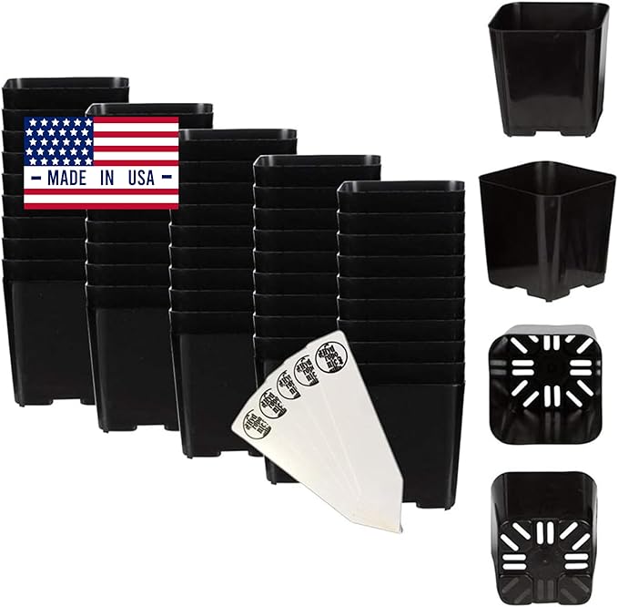 The Hydroponic City Black Square Flower Nursery Pots for Starting Seedlings, Succulents, or Cacti - 2" x 2", Pack of 50 + 5 THCity Stakes