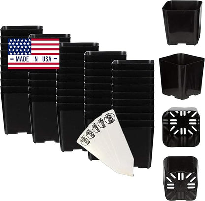 The Hydroponic City Black Square Flower Nursery Pots for Starting Seedlings, Succulents, or Cacti - 2" x 2", Pack of 50 + 5 THCity Stakes