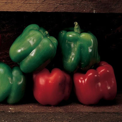Burpee Emerald Giant Sweet Pepper Seeds 30 seeds