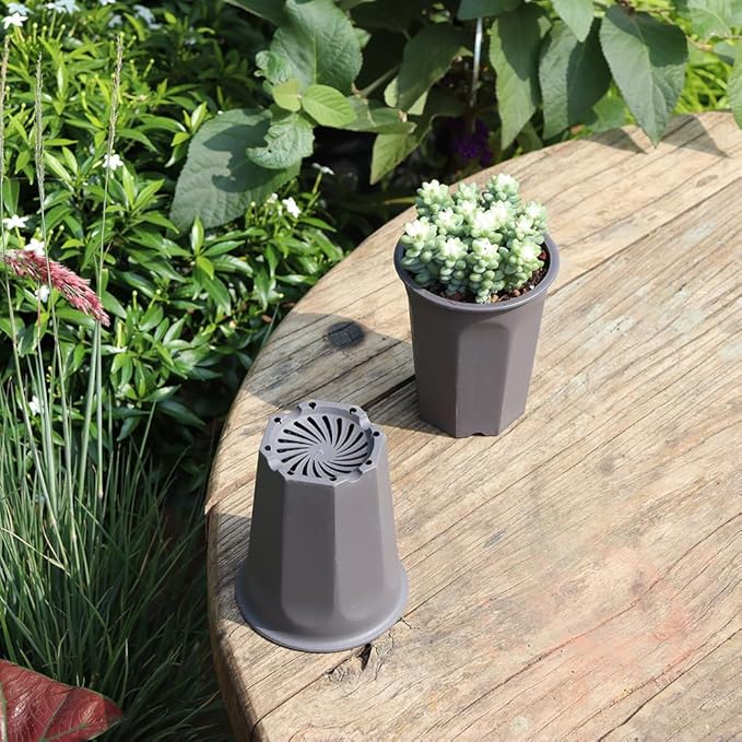 BangQiao 17 PCS 3.55" Plastic Deep Nursery and Seedling Pots, Round Transplant Seed Starter Planter,Gray Color
