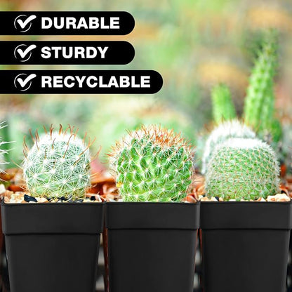 Amyhill 4 Inch Flower Pots Square Plants Nursery Pot Plastic Plant Seedling Pots Nursery Transplanting Planter Container with Saucer for Indoor Herbs Succulent Balcony Garden(Black,100 Pcs)