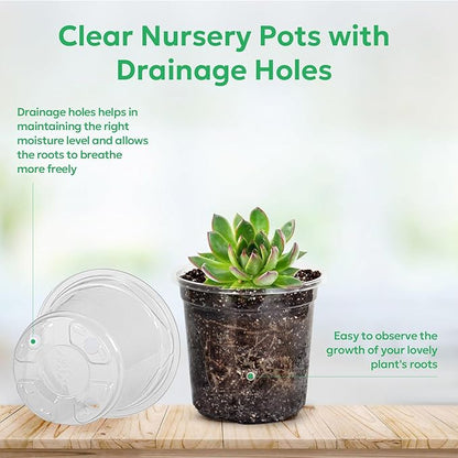 60 Packs 3.5 Inch Reinforced Clear Nursery Pots with Drainage Holes, Transparent Plastic Plant Pot Seedling Planter for Vegetable Propagation, Root Cutting, Seed Starting