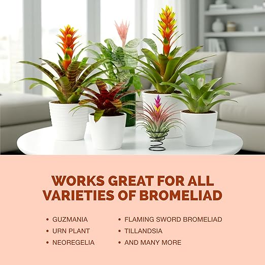 Bromeliad Fertilizer – Liquid Plant Food for Bromeliad Plants, 8 oz