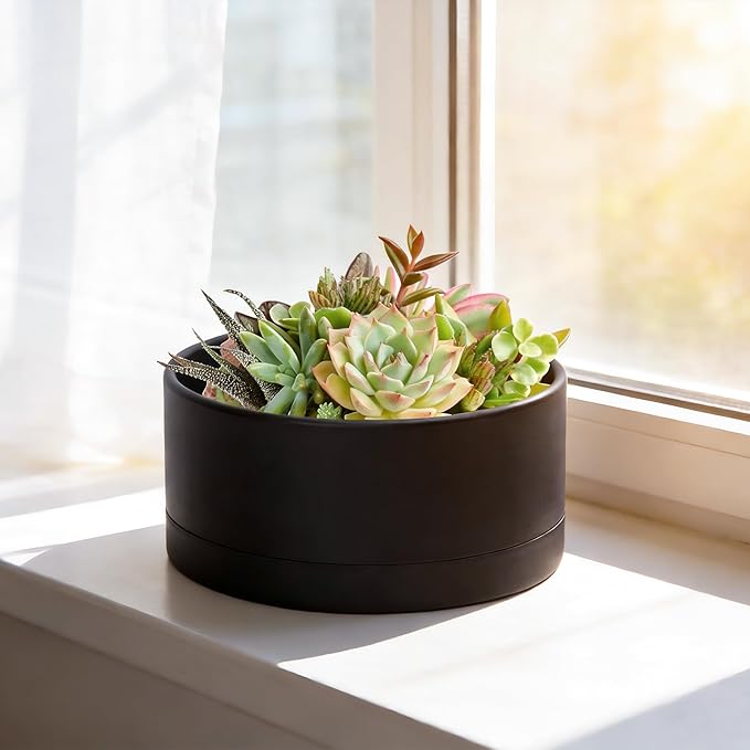 D'vine Dev 10 Inch Plastic Shallow Planter, Large Round Succulent Plant Pot with Drainage Hole and Sauce, Decorative Bonsai Pot for Indoor Plants, Black, 76-Z-B-2