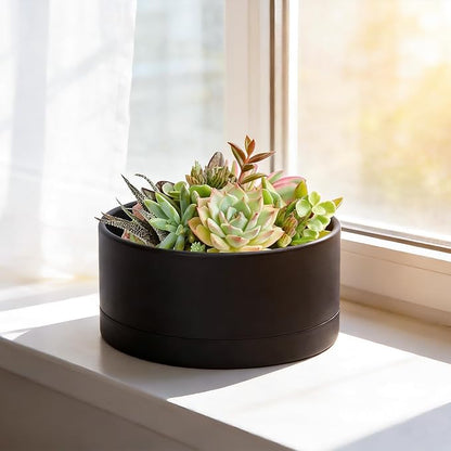 D'vine Dev 10 Inch Plastic Shallow Planter, Large Round Succulent Plant Pot with Drainage Hole and Sauce, Decorative Bonsai Pot for Indoor Plants, Black, 76-Z-B-2