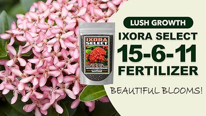 Fertilizer Commercial Grade | Ixora Select 15-6-11 | 5 Ounces | Custom Professional Mix | Granular Slow Release | 90-Day Soil Acidifier | Acid-Loving Plants Ixora Gardenia Azalea Camellia | Topdress
