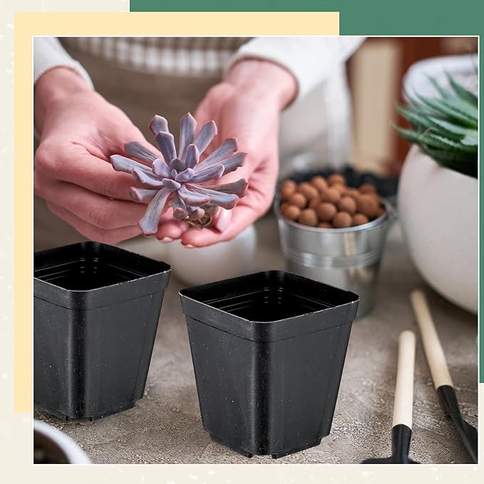 Yinder 250 Pcs 4 Inch Square Nursery Pots, Seedling Pots with Drainage Holes PP Plastic, Plant Planting Planters for Garden Outdoor Indoor Flower Succulent Vegetable Starting Seedlings, Black