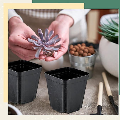 Yinder 250 Pcs 4 Inch Square Nursery Pots, Seedling Pots with Drainage Holes PP Plastic, Plant Planting Planters for Garden Outdoor Indoor Flower Succulent Vegetable Starting Seedlings, Black