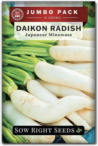Sow Right Seeds - Bulk Japanese Minowase Daikon Radish Seeds for Planting - 15 Grams, 1000 Seeds - Non-GMO Heirloom Jumbo Pack with Instructions to Plant a Home Vegetable Garden - an Abundant Harvest