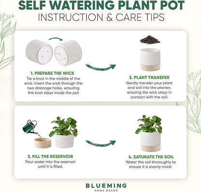 Ceramic Self Watering Plant Pots – 6 Inch Planter for Indoor House Plants with Drainage & Water Storage for Succulents (White & Beige, 7" Tall)