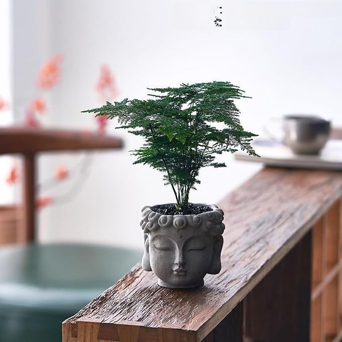 Buddha Head Planter with Drainage Hole - Zen Flower Pot for Succulents, Air Plants, Home & Office Decor, Gift for Plant Lovers (Indoor/Outdoor Use)﻿