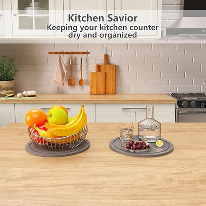 Plant Saucer for Indoors, 2 Pack 8 Inch, Instantly Dry Diatomaceous Earth Plant Trays, Stone Plant Pot Saucers Drip & Drainage Tray, Women’s Gifts for Valentine, Gray