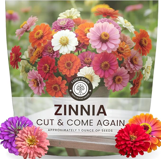 Zinnia ‘Cut and Come Again’ – 4,000 Seeds for Planting – 1 Ounce Pouch