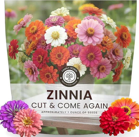Zinnia ‘Cut and Come Again’ – 4,000 Seeds for Planting – 1 Ounce Pouch