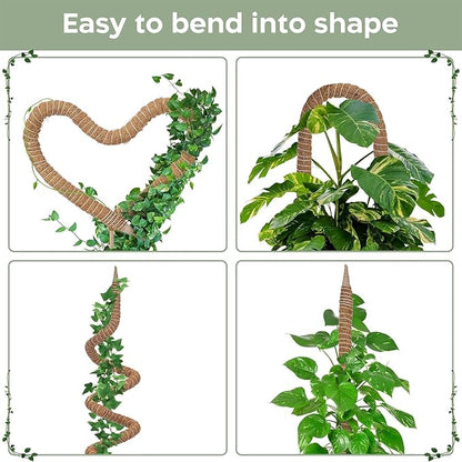 2 Pack 63'' Bendable Moss Pole Monstera Plant Support for Large Climbing Indoor Plants - Stakes for Potted Climbers - Tall Sticks Indoor Trellis for Houseplants - Accessories for Monstera Pot