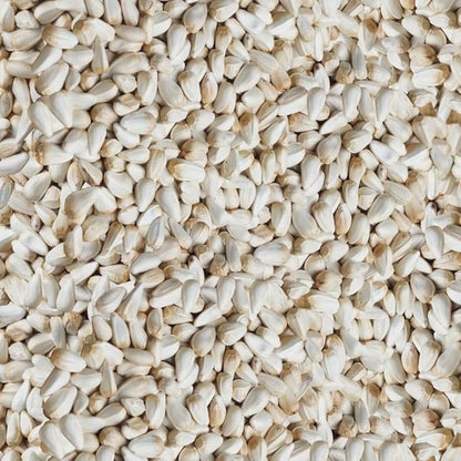 Happy Wings Safflower Seeds Wild Bird Food - 5 Pounds I No Grow Seed I Bird Seed for Wild Birds