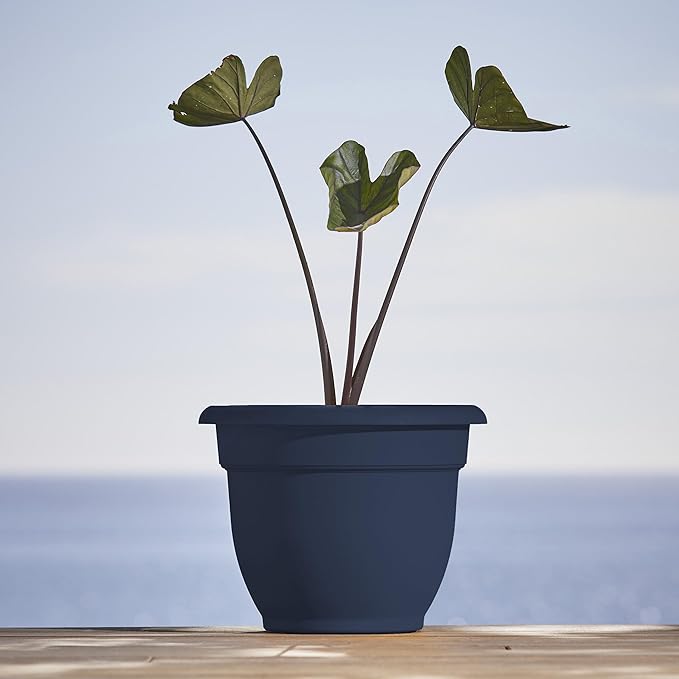 Bloem Ariana 12" Navy Round Self-Watering Resin Planter Pot - Rolled Rim Indoor and Outdoor Gardening Planter