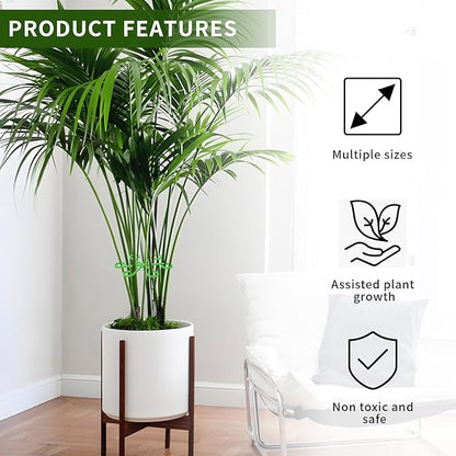 4 Pcs Plant Stem Supports for Indoor Plants, Assorted Sizes Plastic Plant Stabilizer Growth Accessories Plant Stakes Holders for Monstera Potted Climbing Plant (4, Green)