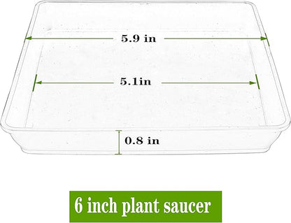 Square Plant Saucer 6inch 5 Pack, Plastic Plant Saucers, Plant Water Dray Tray, 8 10 12 14 16 18 20 Inch Garden Planters for for Pots Base Indoors and Outdoors Plants（6 inch Black）