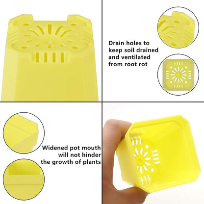 foxany 30 Pcs 3" Plants Nursery Pot, Thick Plastic Square Colorful Flower Planting Pots, Plant Seedling Pots, Seed Starting Pots with Saucers - Multi 30 Pcs