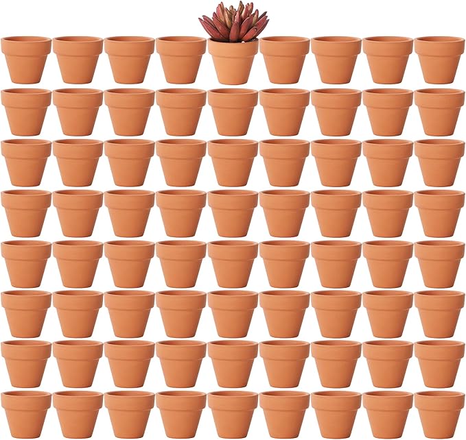 Yishang 1.9 Inch Tiny Terracotta Pots Pack of 72-Small Mini Clay Pots with Drainage Holes Flower Nursery Terra Cotta Planter for Tiny Cactus Herb lithop,Succulent Plants,Crafts,Wedding Favor