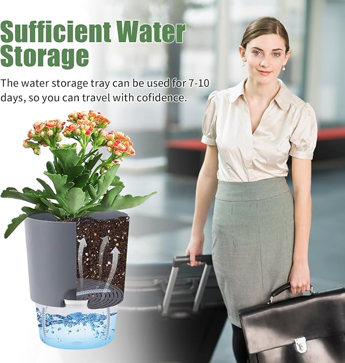 6.3 Inch Self Watering Planter Pots for Indoor Plants, 3 Packs African Violet Pots with Wick Rope and Visible Reservoir Self Watering Planter for Herb, Houseplants