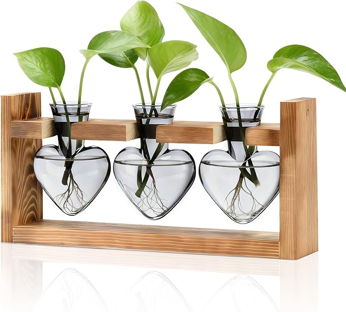 Nacome Plant Terrarium Propagation Stations: Birthday Gifts for Plant Lovers Women Mom Wife Daughter - 3 Bulb Glass Vase with Wooden Stand Tabletop for Hydroponics Home Garden Decor(Gray)