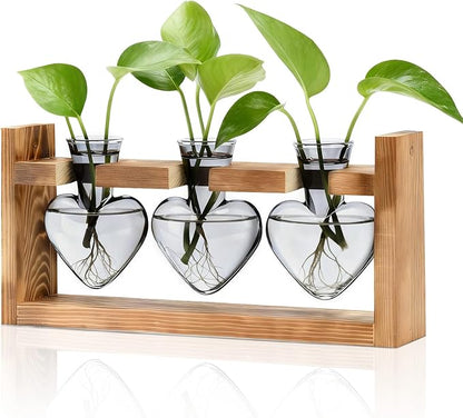 Nacome Plant Terrarium Propagation Stations: Birthday Gifts for Plant Lovers Women Mom Wife Daughter - 3 Bulb Glass Vase with Wooden Stand Tabletop for Hydroponics Home Garden Decor(Gray)