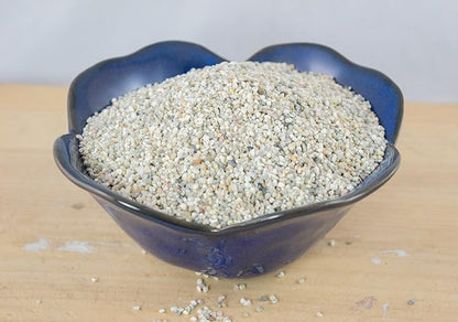 2 Gal. Coarse Sand for Bonsai Tree, Cactus & Succulent, Carnivorous Plant Soil Mix (2GAL Sand)