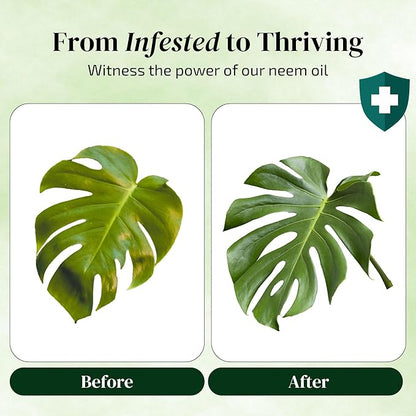 Neem Oil for Plants (Makes 480 fl oz) with Spray Bottle & Essential Oils | for Indoor Houseplants & Outdoor Gardens, Natural Leaf Shine