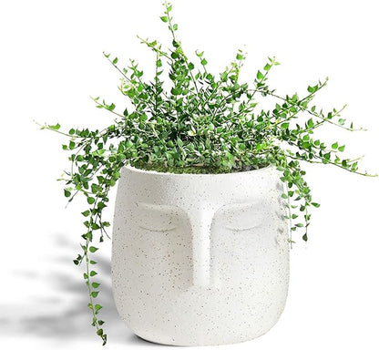 GeLive Head Plant Pot Succulent Planter with Drainage Hole Modern Statue Flower Pot Face Plant Vase Windowsill Box Art Home Decoration Indoor Outdoor (White)