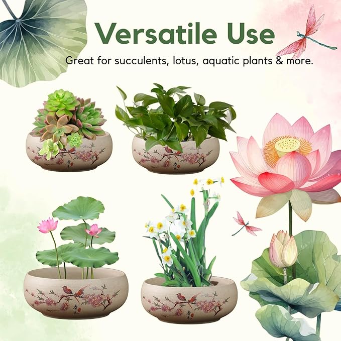 Lotus Bowl Planter, Ceramic Water Lily Bowl, Hydroponic Bonsai Lotus Bowls for Water Plants Indoor, Succulent Pots, Leak-Proof Spring Bird Design (7.56in*2.76in)