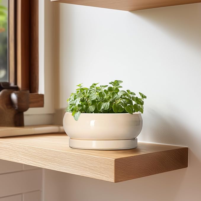 Small Bonsai Pots - 6 Inch Ceramic Succulent Planters for Indoor Plant Outdoor, Shallow Planter with Drainage Hole and Saucer, Round Succulent Pots, Kitchen Decor, Gifts for Women Men, Beige