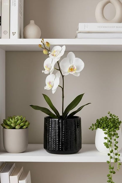 Arktiva Ceramic Planter Pot with Drainage Hole, 5 Inch Dia, Indoor and Outdoor, Home Patio Garden, Plants Flower Succulent, Textured Round (Black)