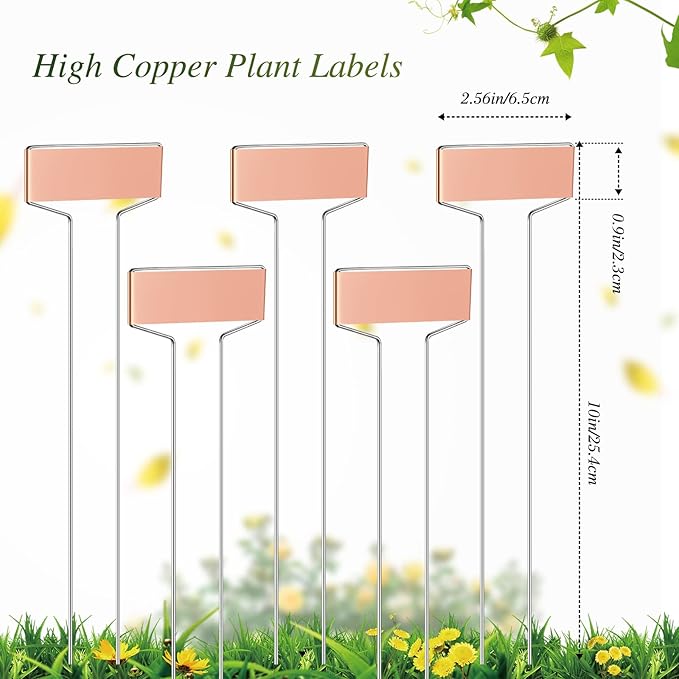 LEIFIDE 61 Pieces Metal Plant Tags Kit, 30 Pcs Copper Metal Plant Labels, 30 Rainproof PET Films, 1 Marker Pen, Reusable Garden Markers Nursery Tags(Square)