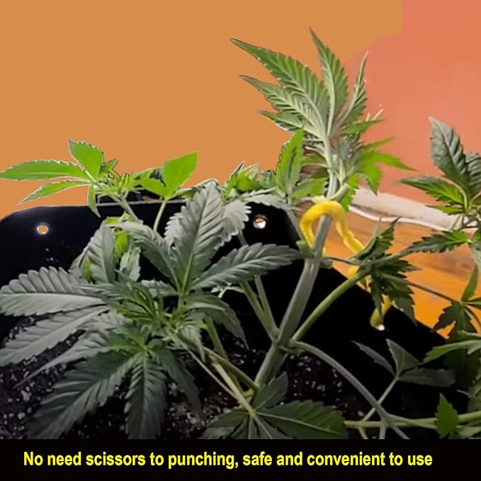 5 Gallon Fabric Pots with Holes 5 Packs with Handles Plant Grow Bags