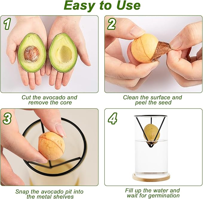 Avocado Tree Growing Kit 2PCS Avocado Growing Vase Seed Starter Wooden Base Avocado Glass Plant Pot for Gardening Enthusiasts