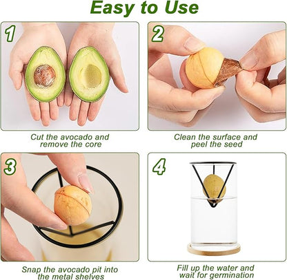 Avocado Tree Growing Kit 2PCS Avocado Growing Vase Seed Starter Wooden Base Avocado Glass Plant Pot for Gardening Enthusiasts