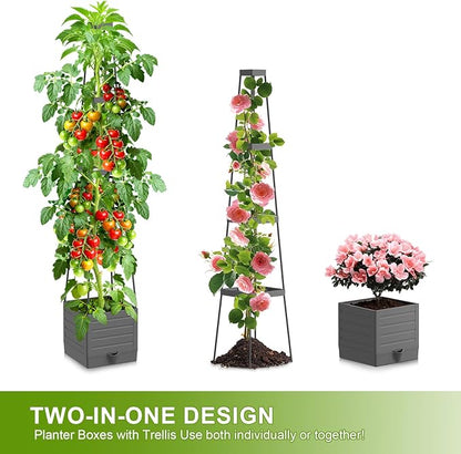 2 Pack Raised Garden Bed Tomato Planter with Trellis, 57" Tomato Cage Plant Support Planters, Self-Watering Planter for Tomatoes Climbing Plants Vegetable Vine Flowers Outdoor & Indoor