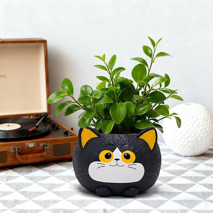 Black Cat Planter Pot - Unique Resin Succulent Planter with Drainage Hole, Funny Cat Plant Pots for Indoor Outdoor Plants, Cute Decorative Flower Pot Gift for Mother and Cat/Plant Lovers