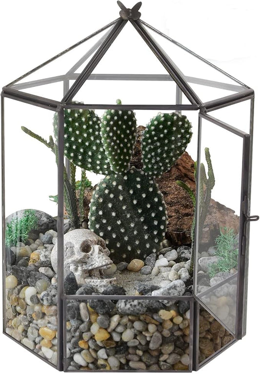 ELEGANTLIFE Glass Geometric Plant Terrarium,Succulent & Air Planter for Home Garden Office Decoration,No Plants(Black Hexagonal)