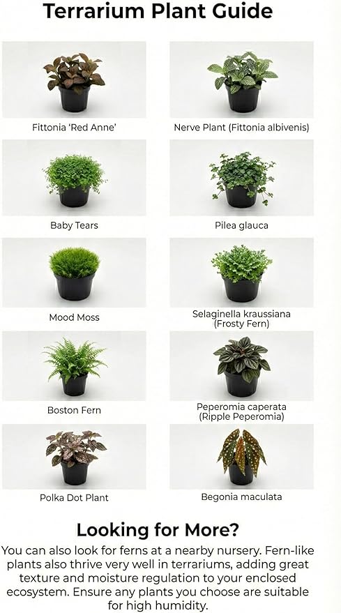 DIY Terrarium Kit with 13 Items Soil Pebbles Sphagnum Moss Activated Carbon Burlap Peat Moss Terrarium Tools Indoor Garden Make Your Own Terrarium