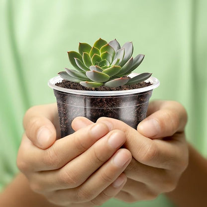 3/4/5 Inch Nursery Pot,30 Pack Clear Pots with Drainage, Plastic Pots for Planting Vegetables Flowers Seedlings