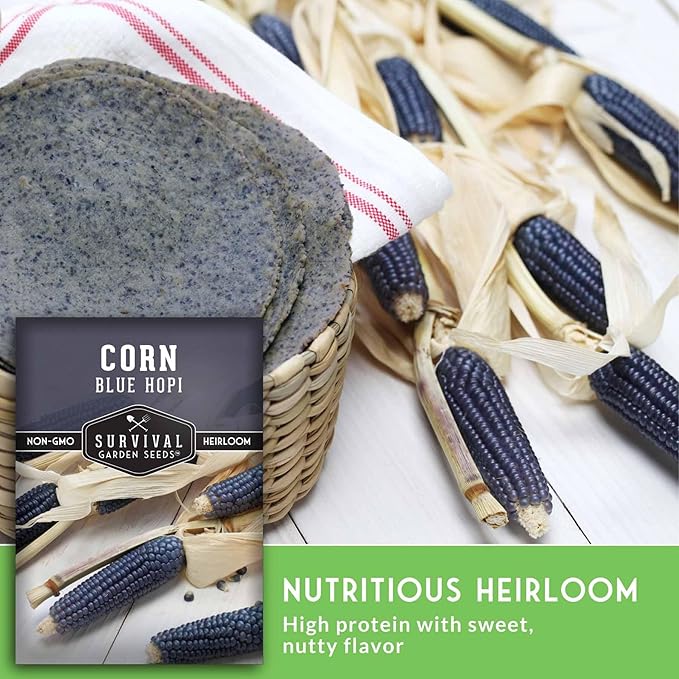 Blue Hopi Corn Seeds for Planting - Plant & Grow Heritage Blue Maize in Your Home Vegetable Garden - Non-GMO Heirloom Variety - Survival Garden Seeds (2 Packs)
