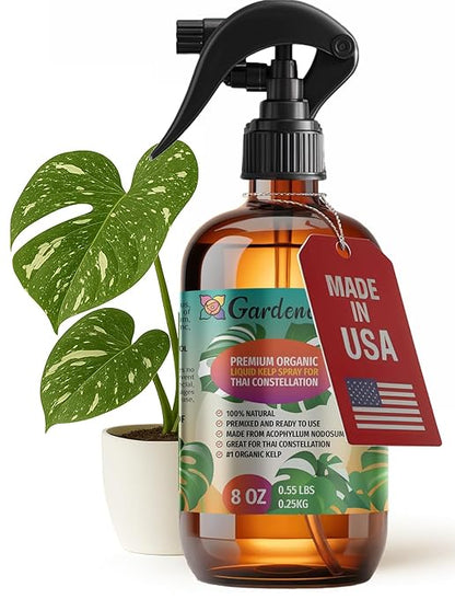 GARDENERA Professional Organic Liquid Kelp Spray for Thai Constellation Plants - 8 oz - Ready-to-Use Fully Organic Seaweed & Kelp Fertilizer Mist