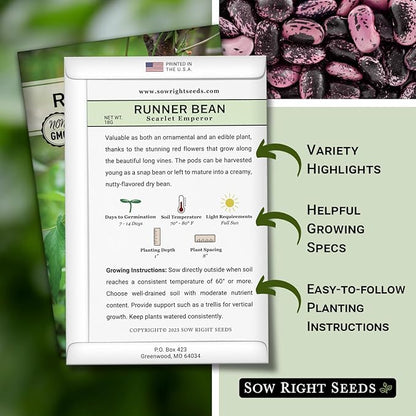 Sow Right Seeds - Scarlet Emperor Runner Bean Seeds for Planting - Non-GMO Heirloom Packet with Instructions to Plant & Grow an Outdoor Home Vegetable Garden - Tall and Fast Growing Vining (1)